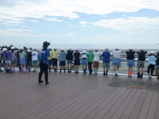 東京湾を一望
