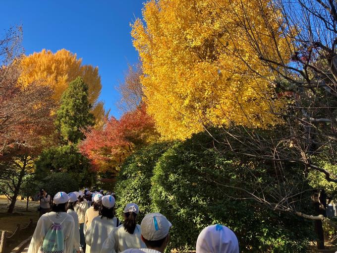 色鮮やかな木々