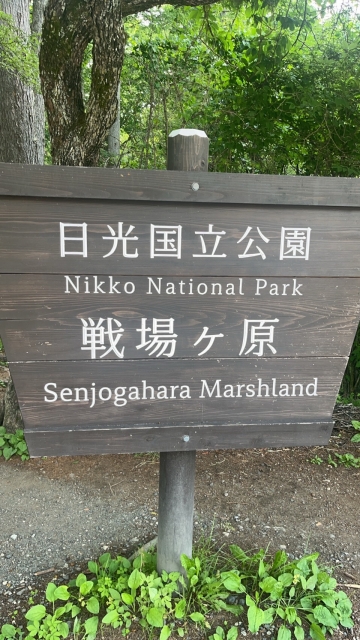 戦場ヶ原