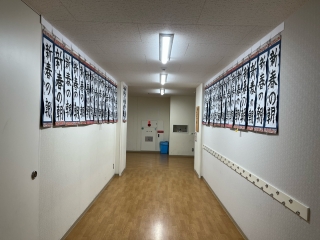 展示しています