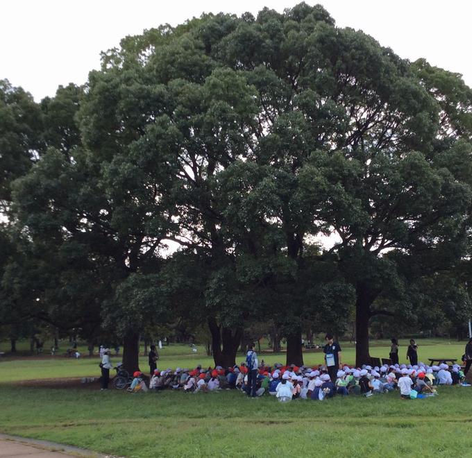公園探検１