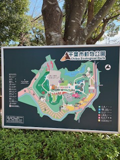 動物公園の地図