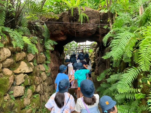 夢の島熱帯植物館