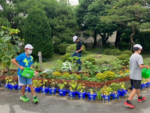 朝のボランティア活動