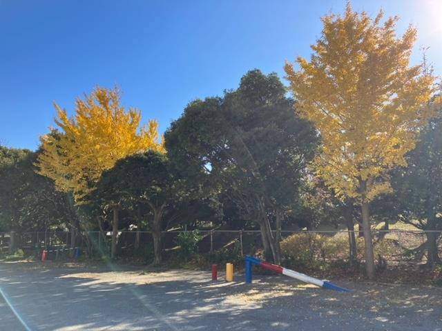 若松小の紅葉