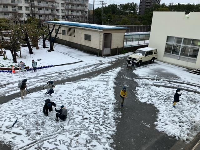 昇降口前の様子(教員が雪かきをしました)