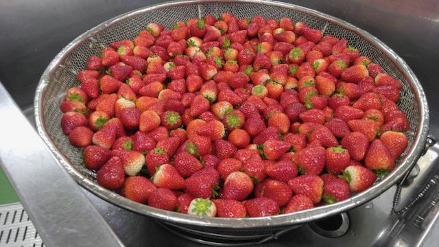 いちご🍓とちあいか