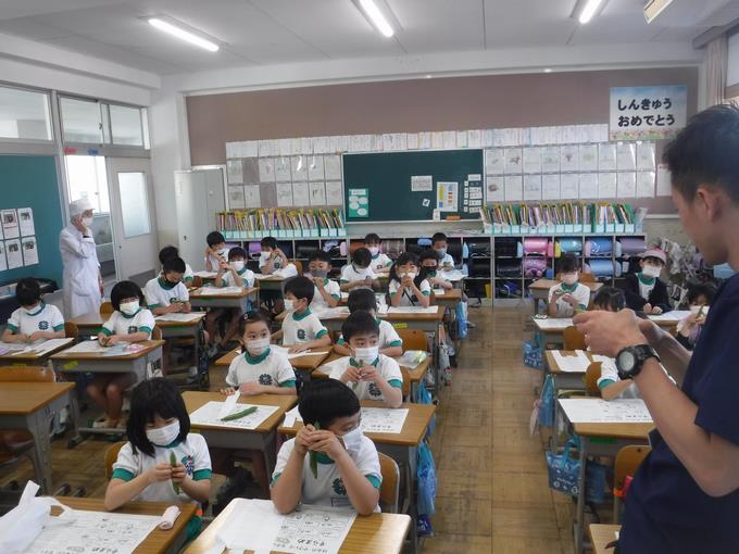2年生@そらまめのさやむき体験学習