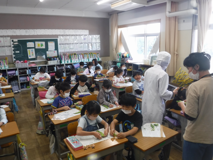 2年生@そらまめのさやむき体験学習