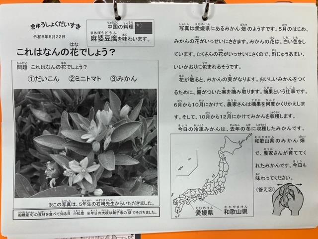 きゅうしょくだいすき