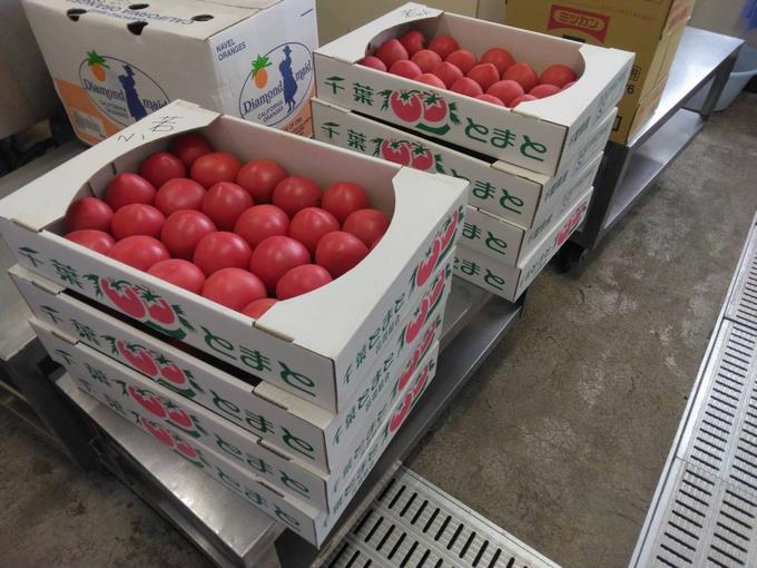 トマトが届きました🍅