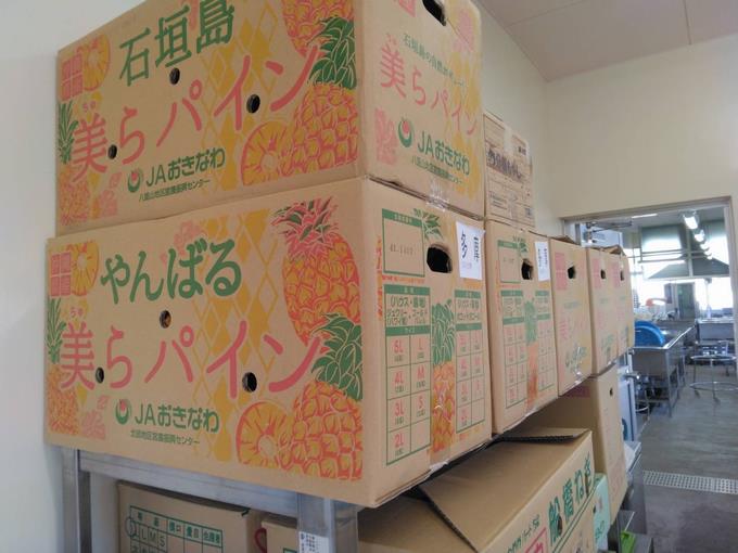 沖縄県石垣島産🍍美らパイン