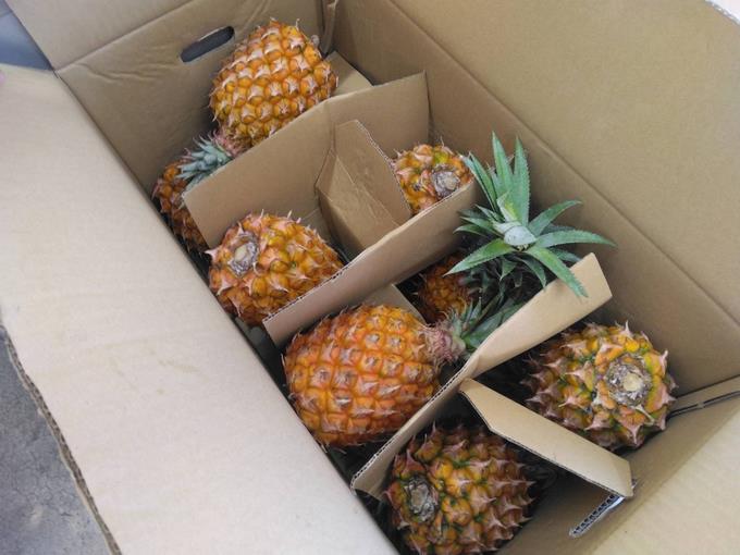 沖縄県石垣島産🍍美らパイン