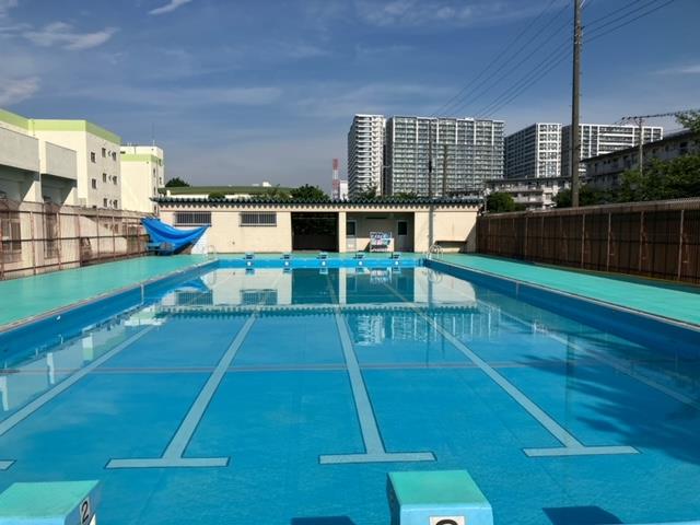 今朝のプール