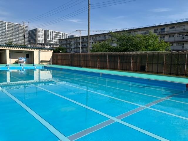 今朝のプール