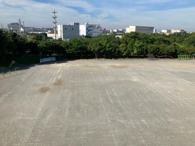今朝の校庭