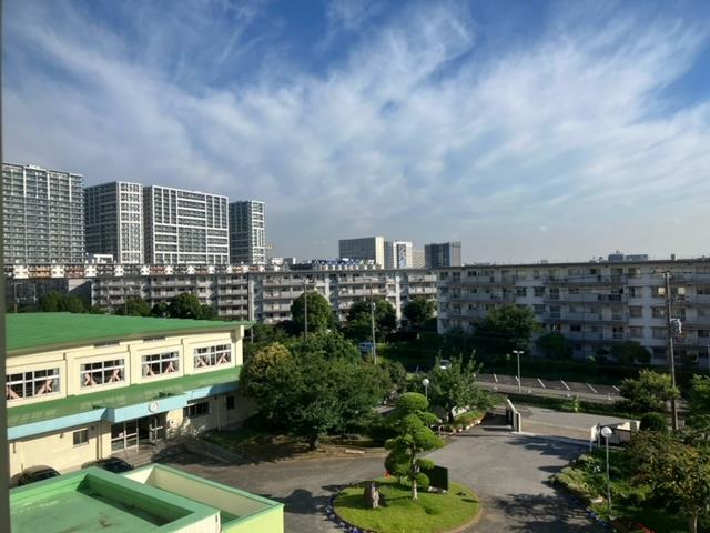 今朝の様子