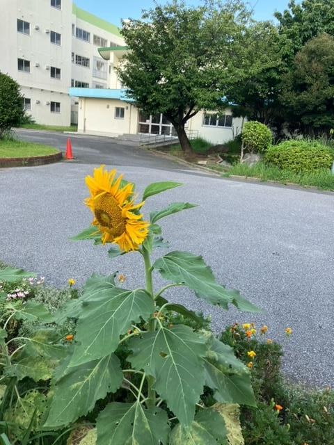 正門側