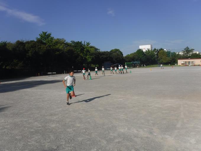 800m
