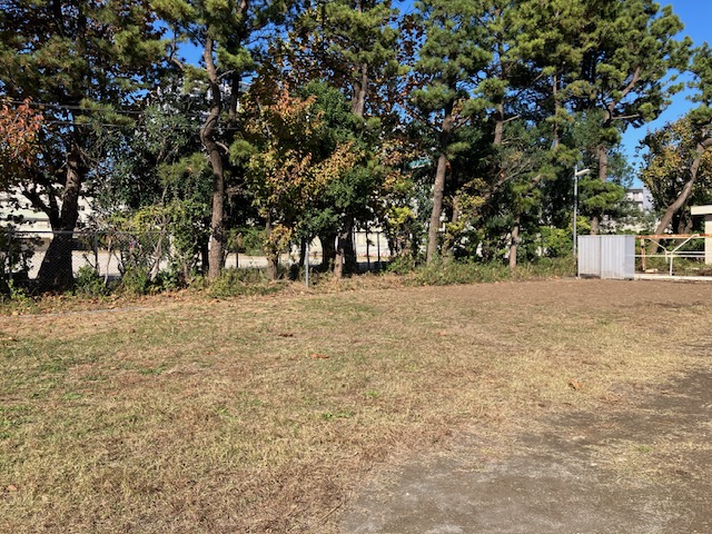 飼育小屋の撤去