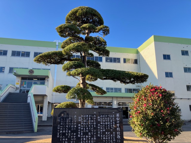 樹木の剪定