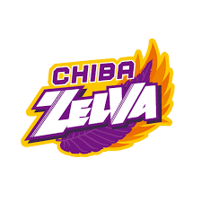 千葉ZELVA