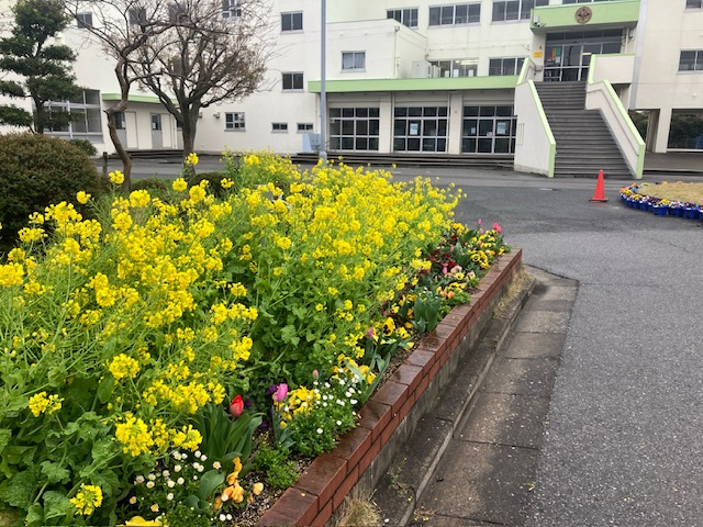 花壇の様子