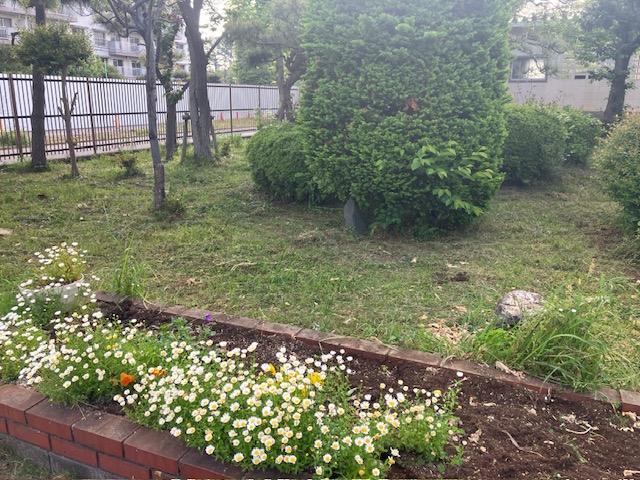 草刈り終了