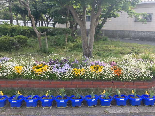 花壇の整備