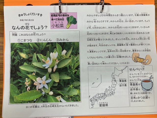 きゅうしょくだいすき