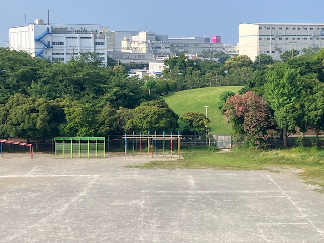 4階から見た校庭の様子