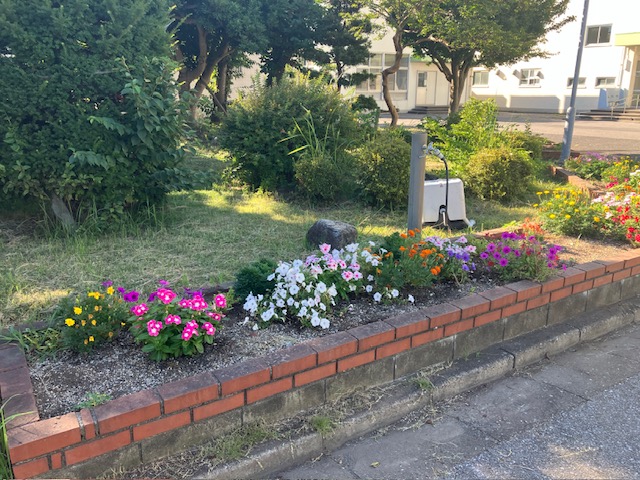 若松小の花壇
