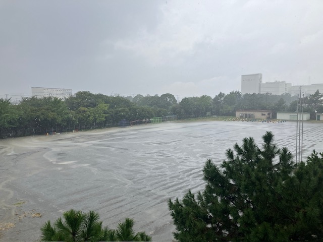校庭の様子