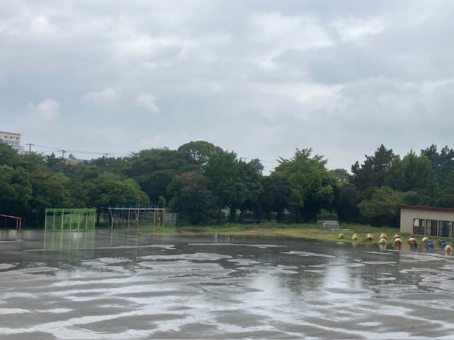 校庭の様子