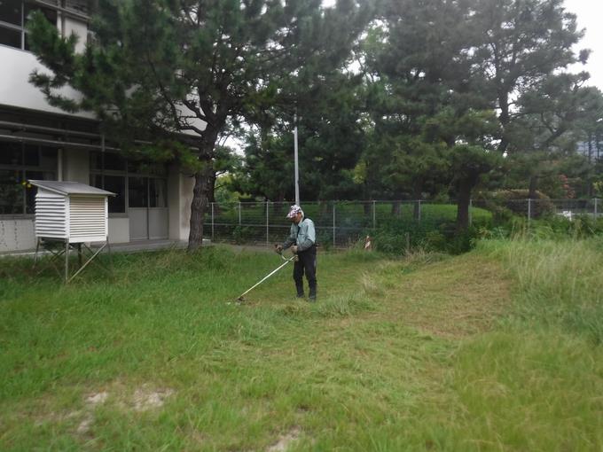 退職公務員連盟の皆様による草刈り