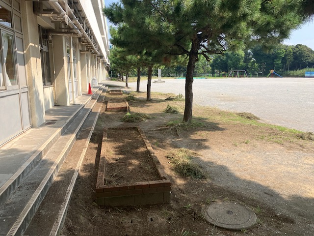 草刈りが終了しました