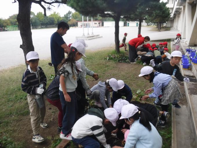 いも掘りをしよう＠1年生