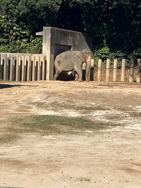 千葉市動物公園