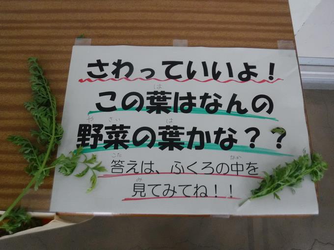 この葉は？１
