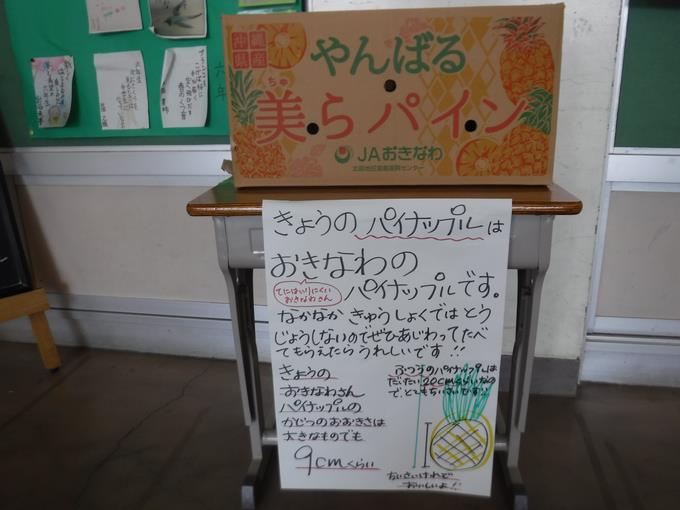沖縄のパイナップルです。