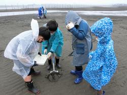 生き物観察の様子