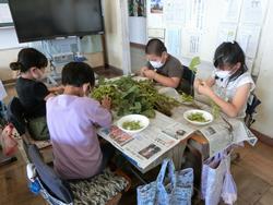 枝豆のさやむき体験