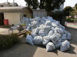 除草作業の成果