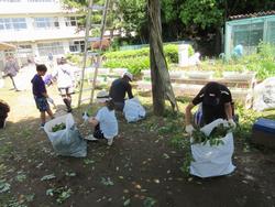 除草作業の様子