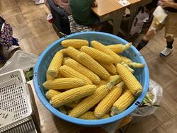 皮をむいたとうもろこし