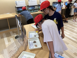 三番瀬環境学習館