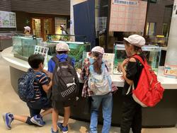 校外学習