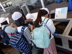 校外学習の様子