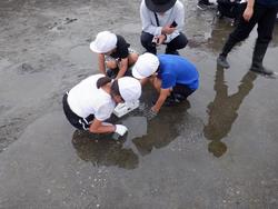 探している