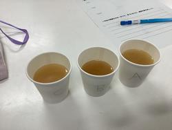 家庭科　だしの味比べ